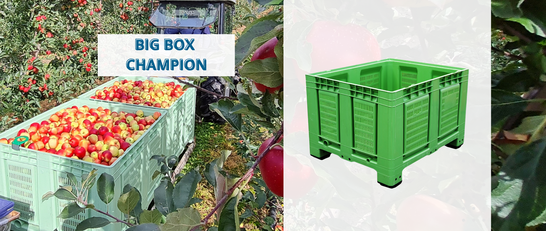 Skrzyniopaleta BIG BOX 2023